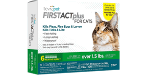first-act-plus